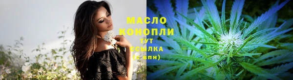 mix Ельня