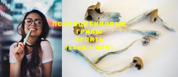 mix Ельня