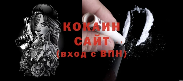 mix Ельня